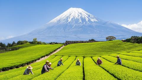 이재명 칼럼, 3000년 역사 고찰 정치 진단