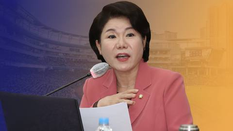 국회, 야구장 안전 질타 자격 논란…창원NC파크 사고 도마에